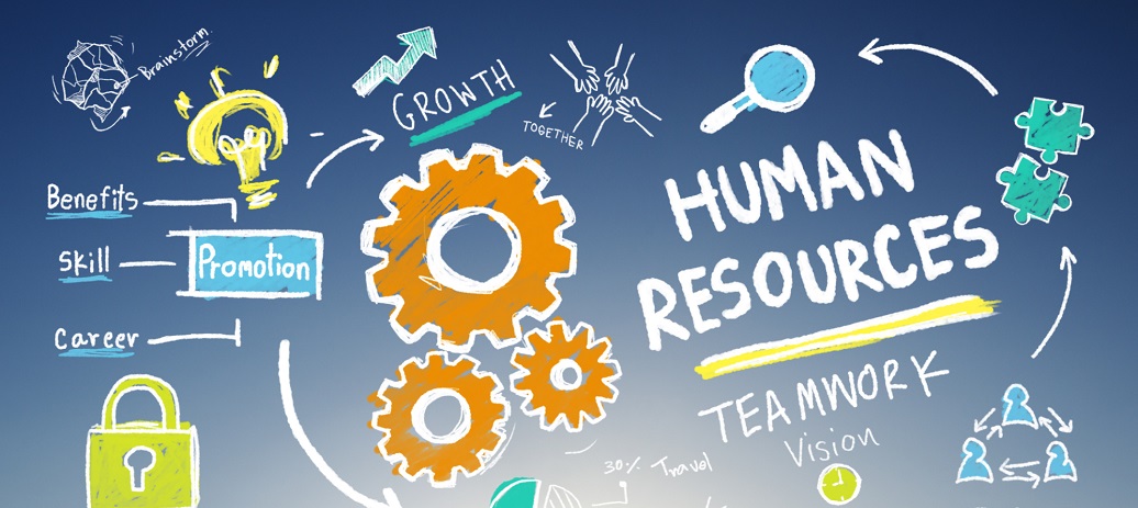 Image result for Human Resource