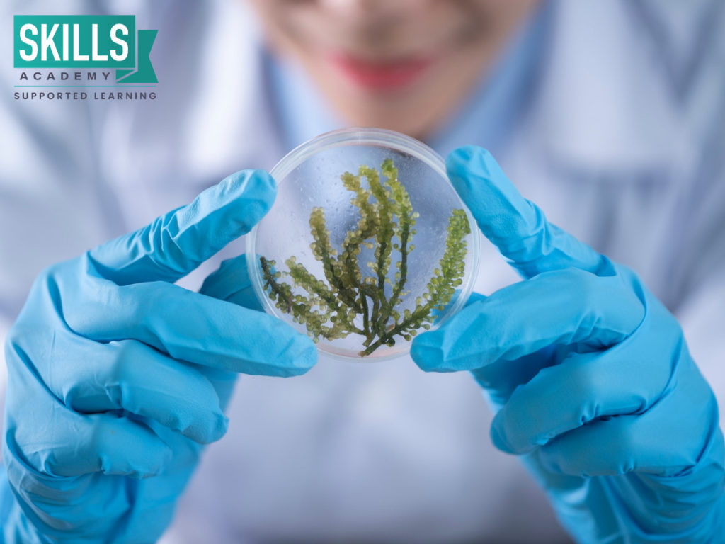 A lab assistant holding a plant sample. Life Sciences Matric Past Exam Papers can teach you all about biology.